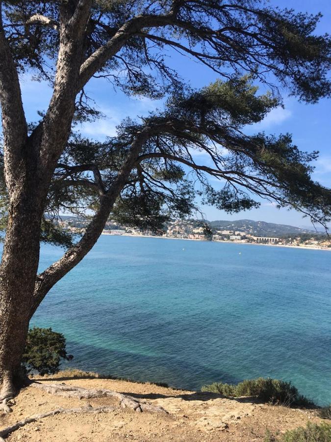 Les Galets De Sanary - Vue Mer Exterior photo
